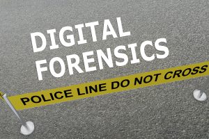 Digital Forensic investigators
